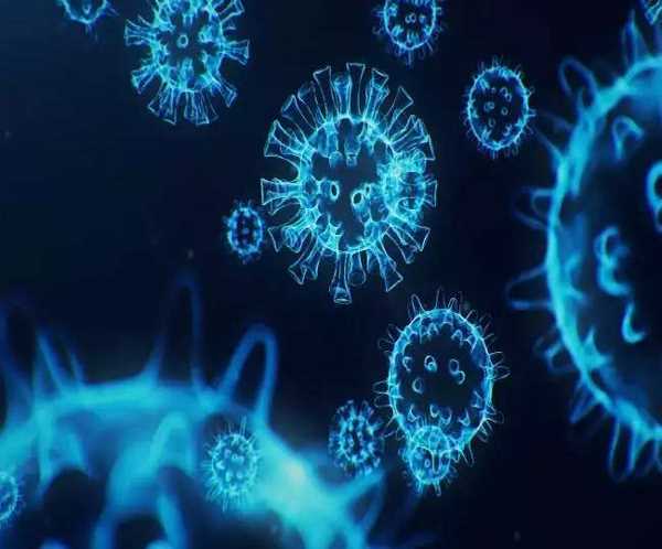 हिमाचल में ओमीक्रॉन के आठ समेत कोरोना के 2368 नए मामले, 7 मौतें हिमाचल में ओमीक्रॉन के आठ समेत कोरोना के 2368 नए मामले, 7 मौतें